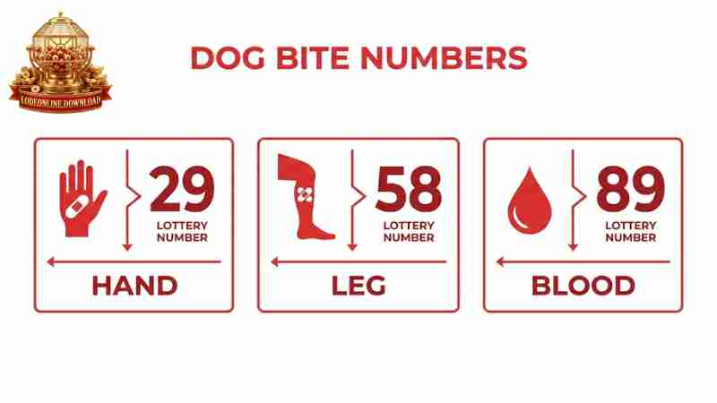 Bảng số liệu tra cứu nhanh các trường hợp bị chó cắn.