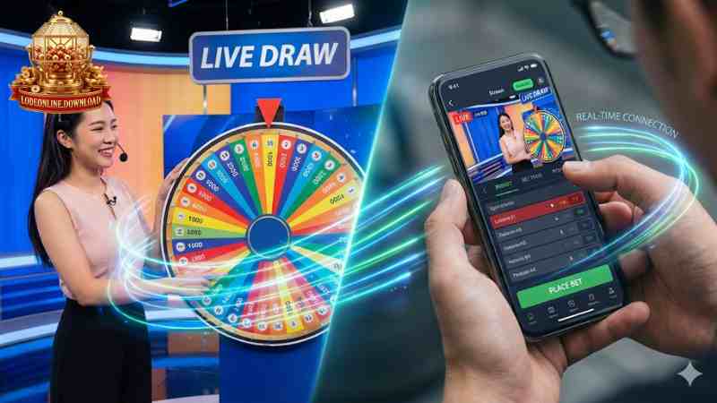 Tính năng vừa xem Live vừa đặt cược độc quyền tại Ku Casino.
